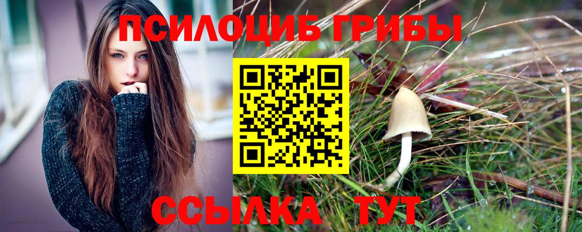 Галлюциногенные грибы мицелий Мурино