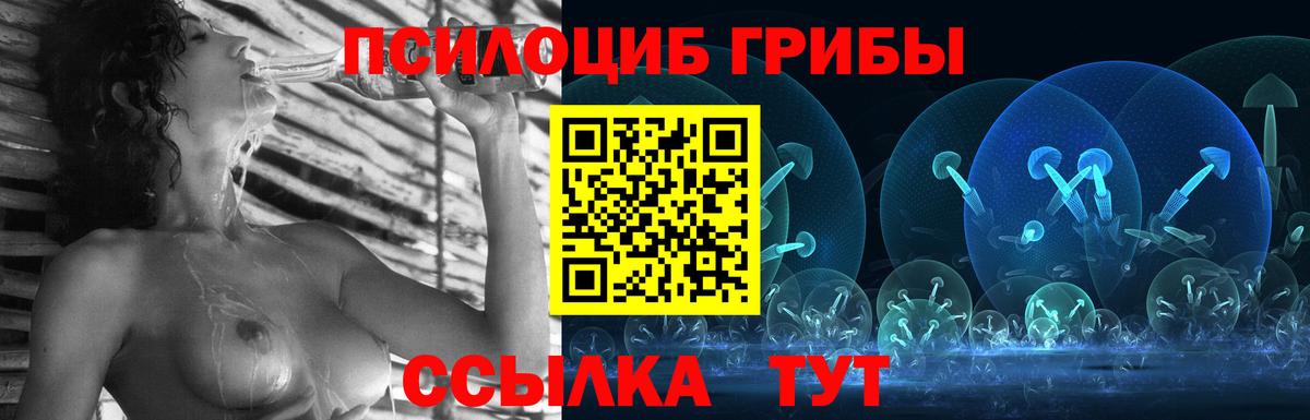 Мурино  Псилоцибиновые грибы ЛСД  Вход с VPN 